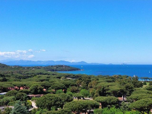 Appartamento in vendita a Castiglione della Pescaia GR