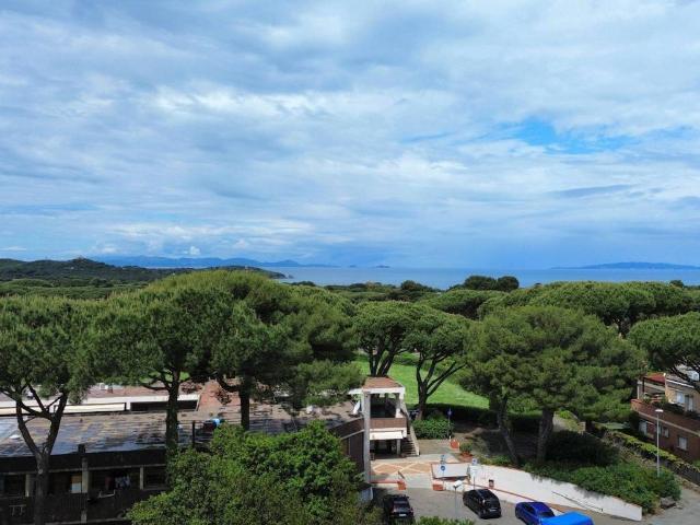 Appartamento in vendita a Castiglione della Pescaia GR