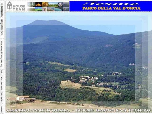 Appartamento in vendita a Castiglione d'Orcia SI
