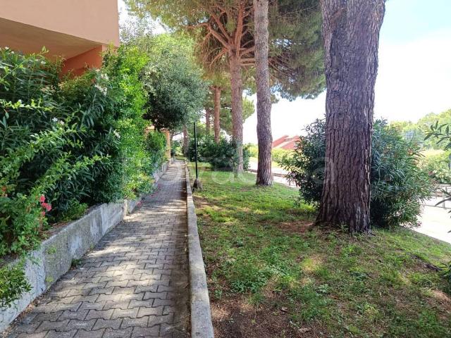 Appartamento in vendita a Capalbio, Capalbio