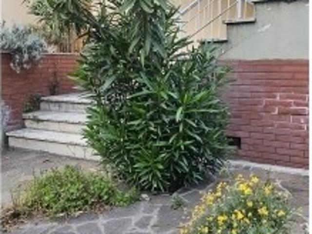 Appartamento in vendita a Capraia e Limite