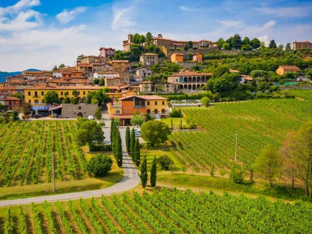 Appartamento in vendita a Capriolo BS