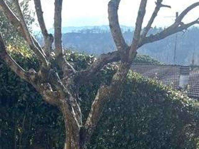 Appartamento in vendita a Carmignano PO