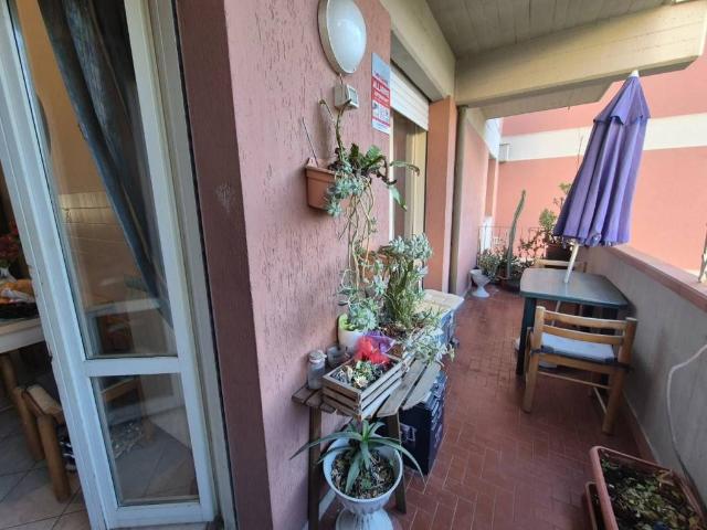 Appartamento in vendita a Carrara MS