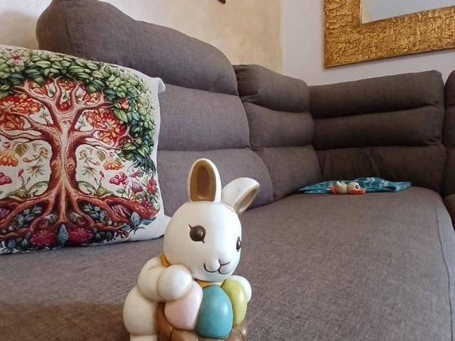 Appartamento in vendita a Carrara MS