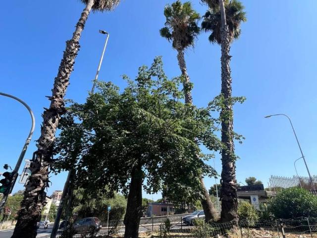 Appartamento in vendita a Catania CT