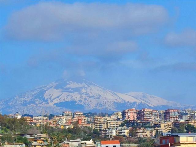 Appartamento in vendita a Catania CT