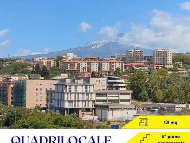 Appartamento in vendita a Catania CT