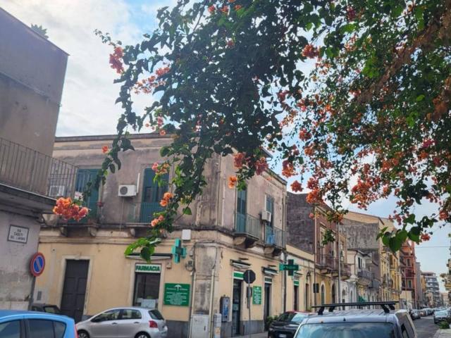 Appartamento in vendita a Catania CT