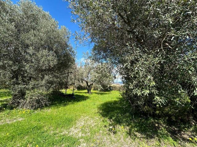 Appartamento in vendita a Catanzaro CZ