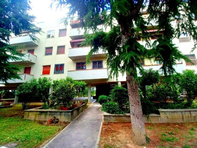 Appartamento in vendita a Cesena FC