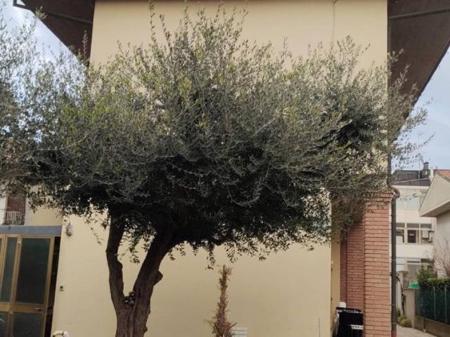Appartamento in vendita a Cesena FC