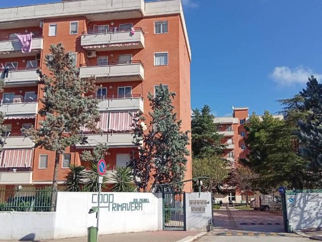 Appartamento in vendita a Cerignola FG