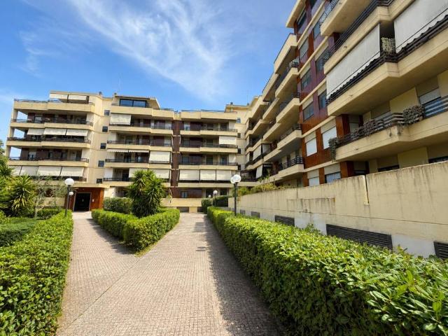 Appartamento in vendita a Cerignola FG