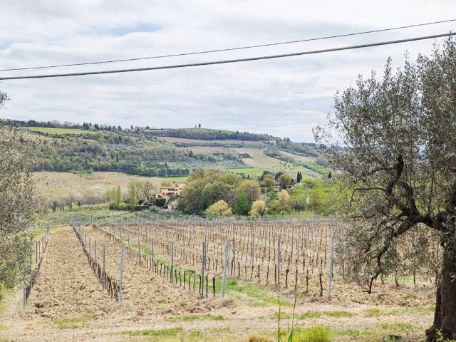 Appartamento in vendita a Certaldo FI