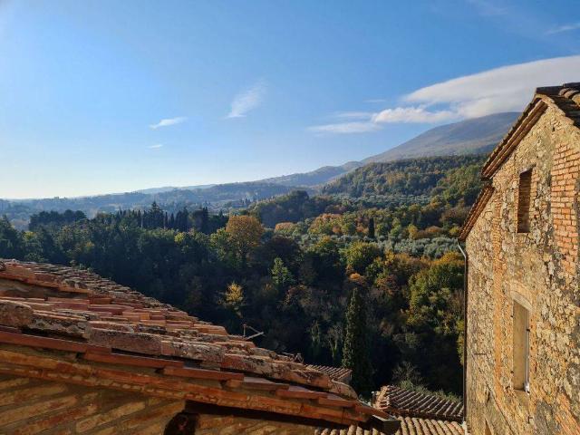 Appartamento in vendita a Cetona SI