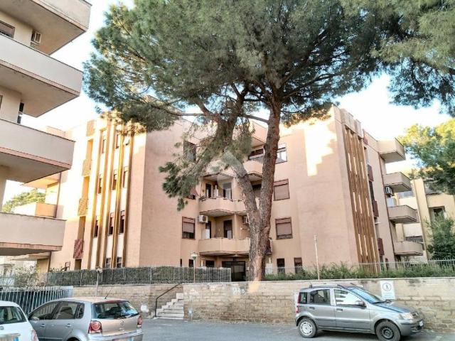 Appartamento in vendita a Ciampino RM