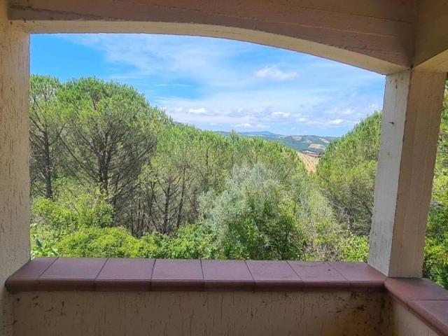 Appartamento in vendita a Cinigiano GR