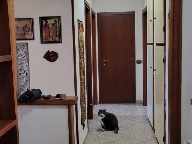 Appartamento in vendita a Cisterna di Latina LT