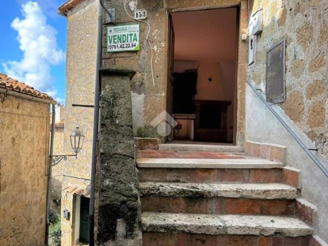 Appartamento in vendita a Farnese VT