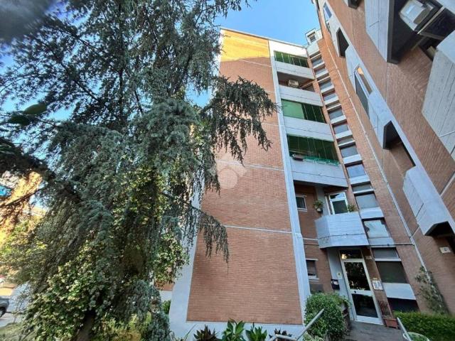 Appartamento in vendita a Ferrara FE