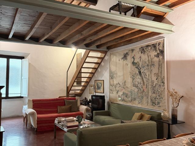 APPARTAMENTO in VENDITA a FIRENZE CENTRO OLTRARNO / S. SPIRITO / S.FREDIANO di 7 vani