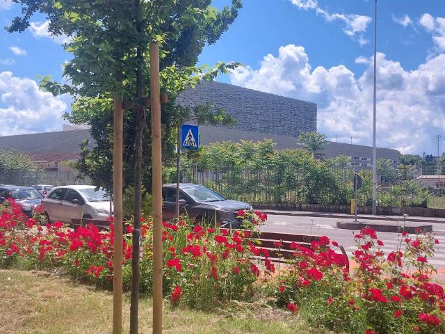 Appartamento in vendita a Firenze FI