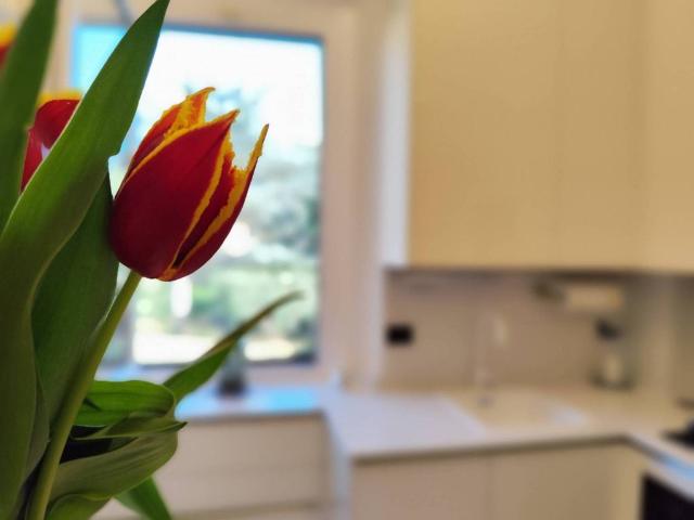 Appartamento in vendita a Firenze FI