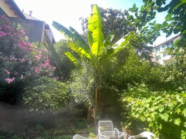 Appartamento in vendita a Firenze FI