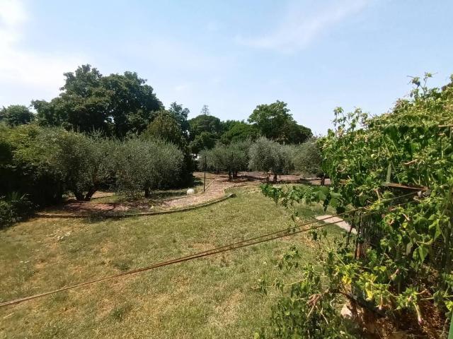 Appartamento in vendita a Firenze FI