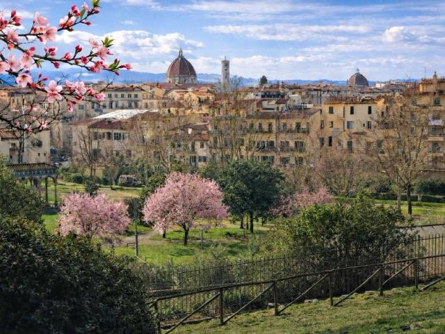 Appartamento in vendita a Firenze FI