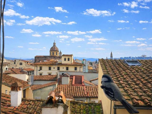 Appartamento in vendita a Firenze FI