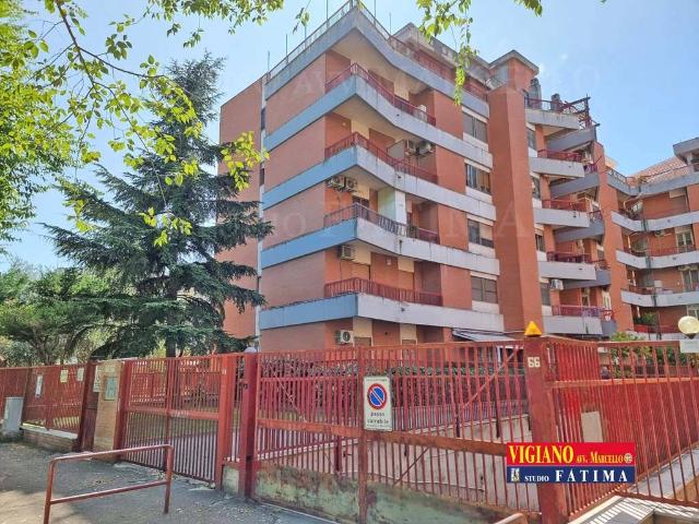 Appartamento in vendita a Foggia FG