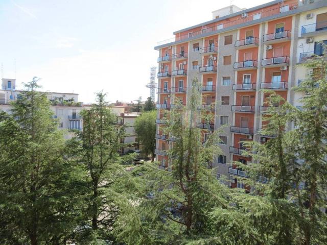 Appartamento in vendita a Foggia FG