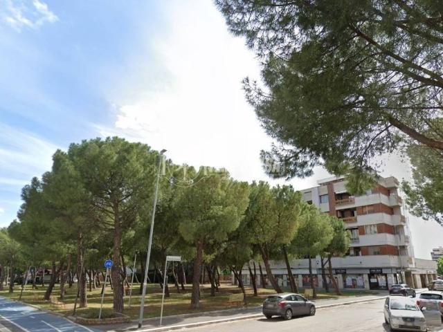 Appartamento in vendita a Foggia FG