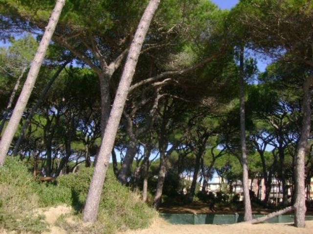 Appartamento in vendita a Follonica via Lago di Misurina, 6