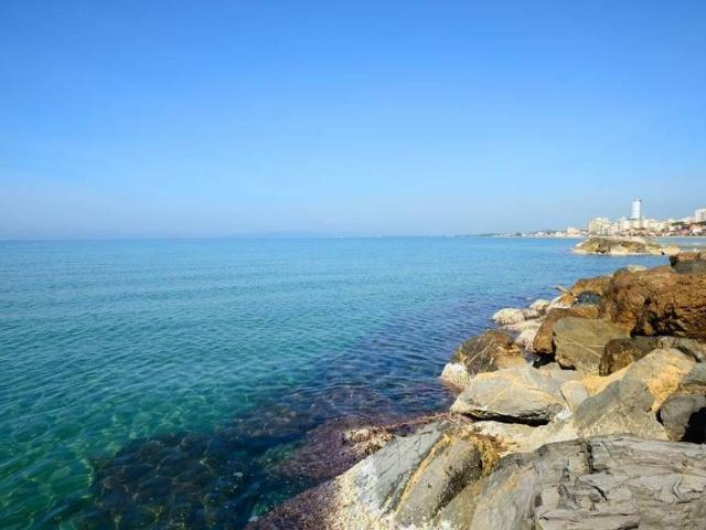 Appartamento in vendita a Follonica GR