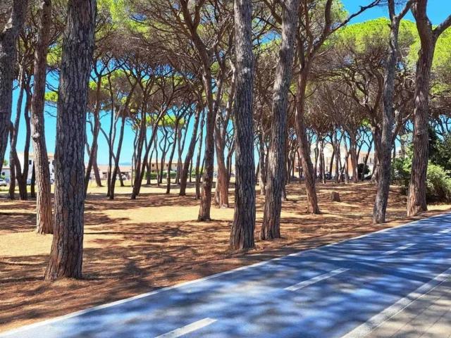 Appartamento in vendita a Follonica GR