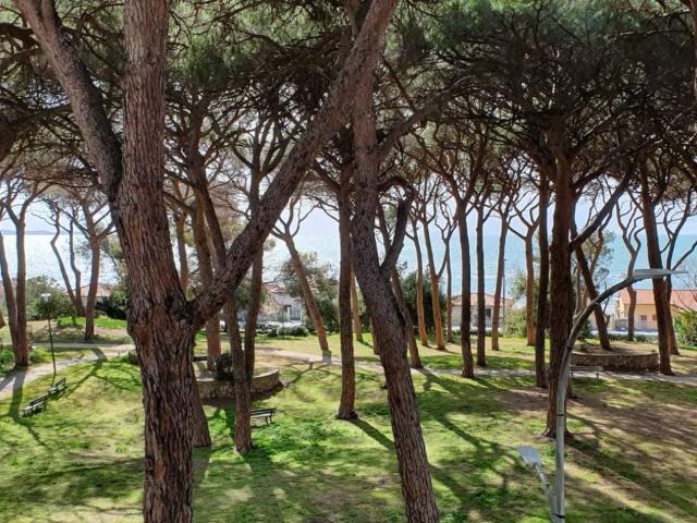 Appartamento in vendita a Follonica GR