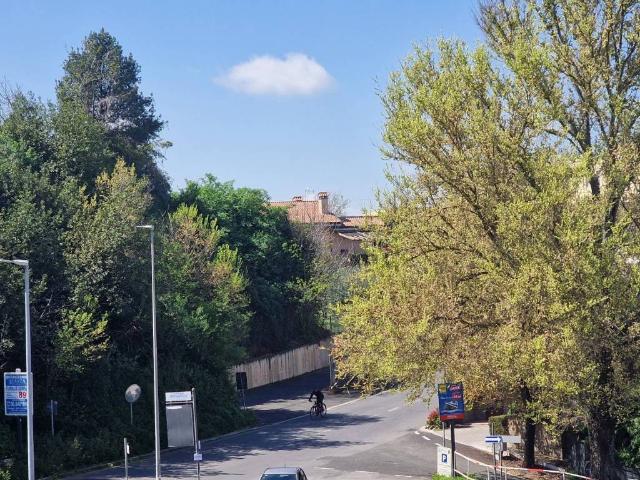 Appartamento in vendita a Frascati RM
