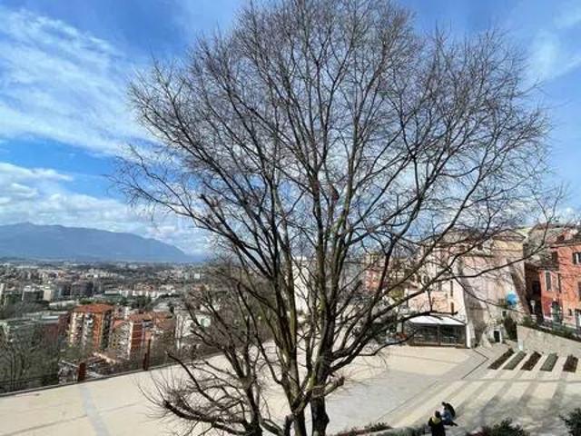 Appartamento in vendita a Frosinone via Carloni, Centro città