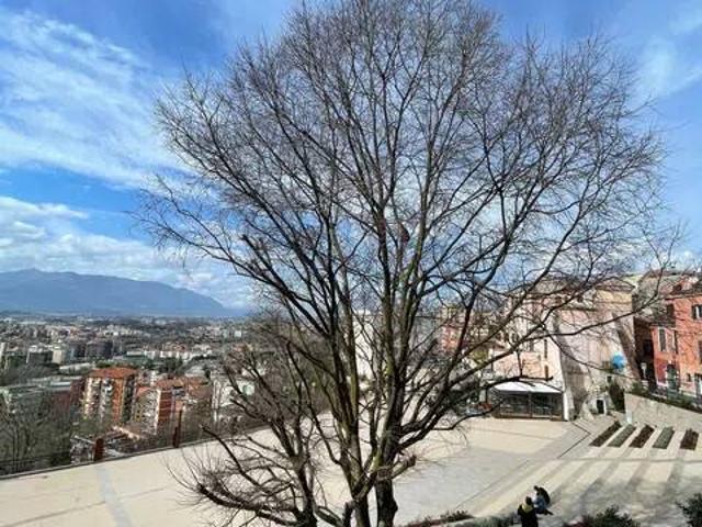 Appartamento in vendita a Frosinone FR