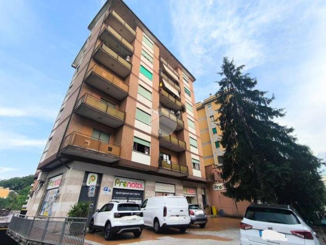 Appartamento in vendita a Frosinone FR