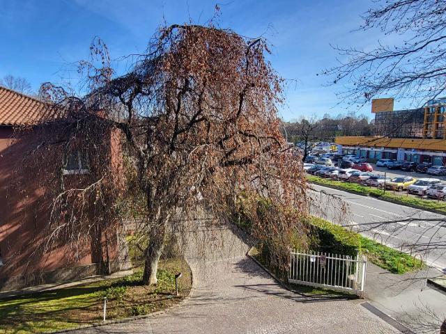 Appartamento in vendita a Gallarate