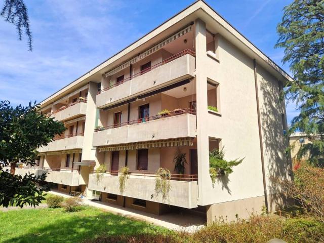 Appartamento in vendita a Gallarate VA