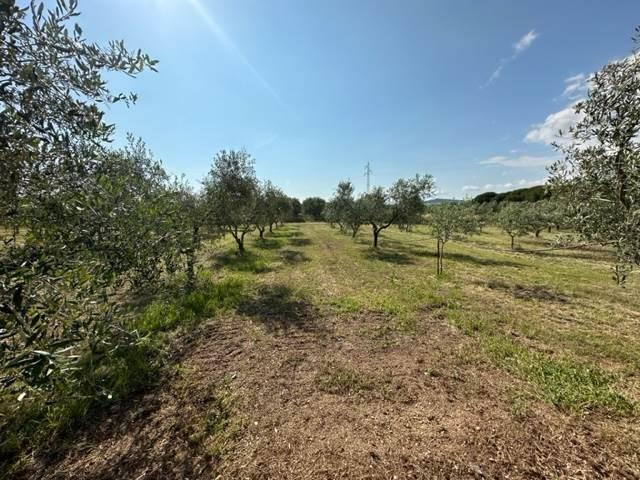 Appartamento in vendita a Gavorrano GR