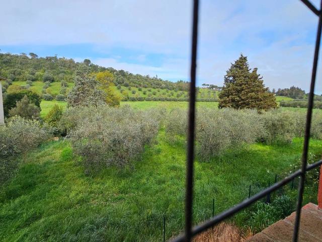 Appartamento in vendita a Gavorrano GR