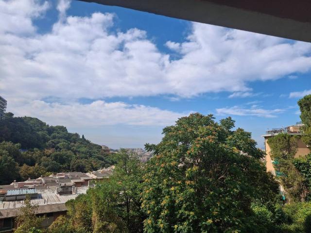 Appartamento in vendita a Genova GE