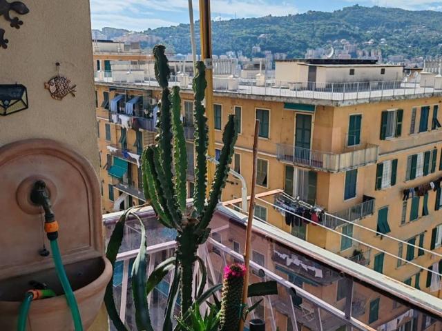 Appartamento in vendita a Genova GE