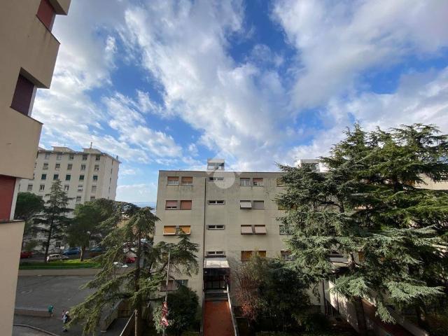 Appartamento in vendita a Genova GE